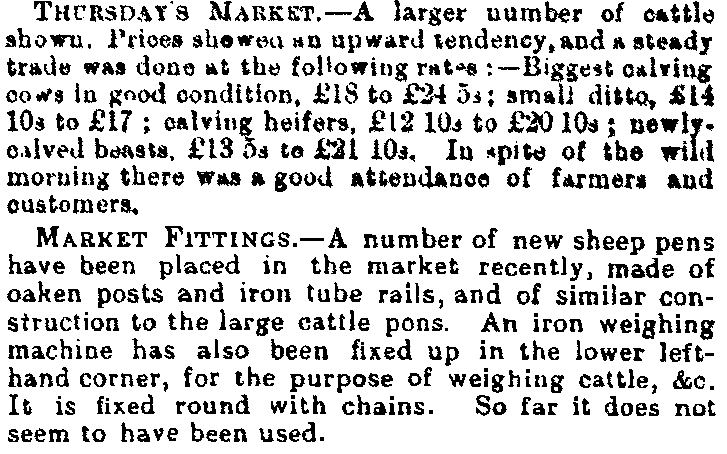 Market  1888-09-08 CHWS.JPG